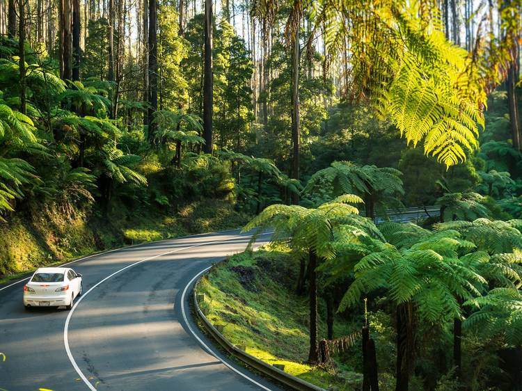 Journeying Along Victoria’s Beautiful Routes